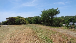 A004
