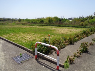 A008