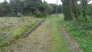 A015