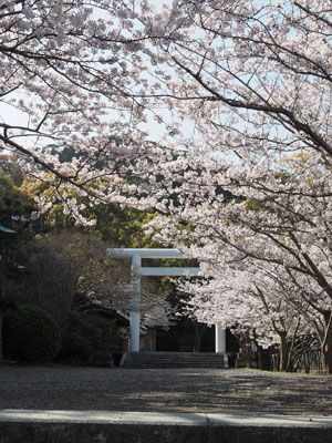 安房神社