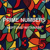 PRIME NUMBERS