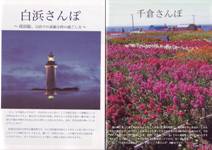 白浜・千倉さんぽ
