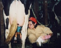 ����O�̃v���f�b�s���O