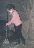 ���̐H�׃J�X�|��