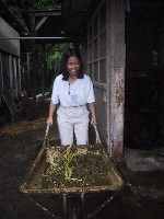 �����̉^��