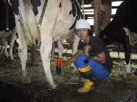 �C�V������̍���i�f�b�s���O���j