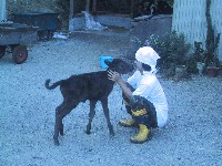 �q���Ɖ�b�H