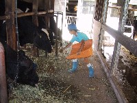 �G�������