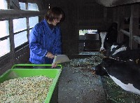 ��������̉a���^