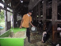 �q���z��