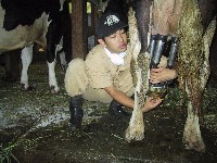 �q���z��