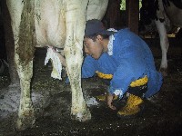 ����O�̓��[�̎E�ہE�@���