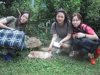 �L�́u�Ƃ́v�ɁA�ʂ�̈��A�H