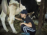 �ŏ��͊y���������ƁH