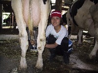 ���C���̐Ώコ��H