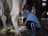 ���C���̉�������H