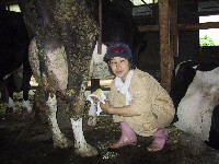 �R�c����̍��