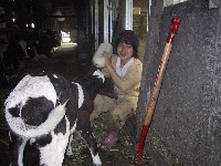 �q���̚M���H