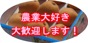 т