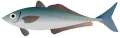 �A�W