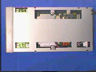 ���g�̎ʐ^(��)