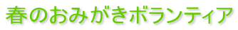 春のおみがきボランティア