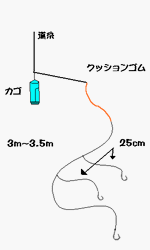 イサキ仕掛け図