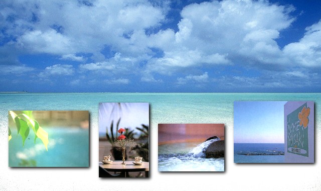 �X�p���_�C�X���݂���